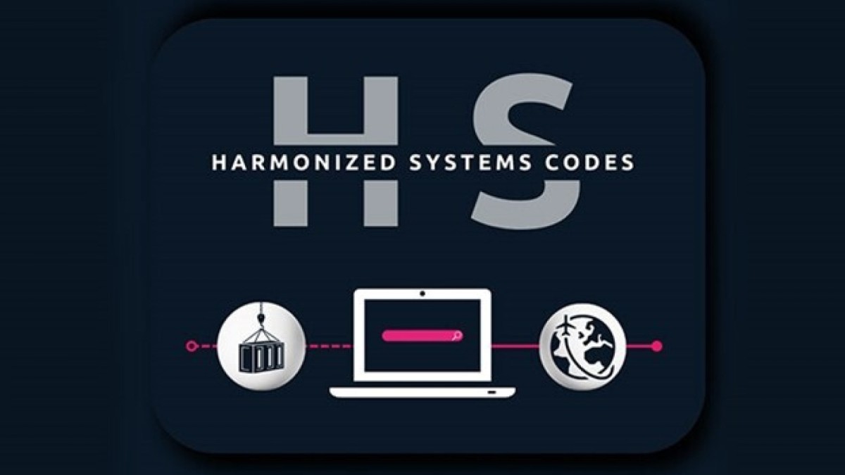 چطور HS Code کالا را پیدا کنیم؟ (آموزش کامل)