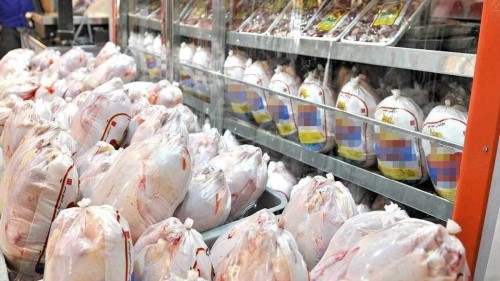 مجوز صادرات مرغ ایران صادر شد؛ راهکاری برای تنظیم بازار داخلی